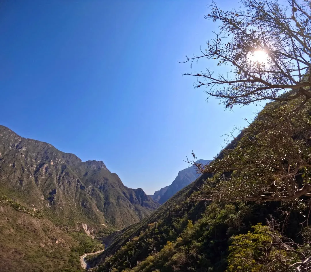 Poza infinita iluminada por el sol junto a un árbol en Tolantongo